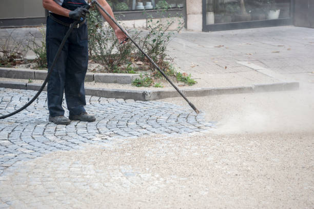 Best Fence Cleaning  in Brooktrails, CA